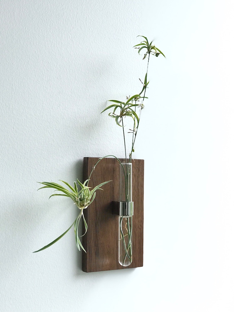 Modern Wall Mount Bud Vase / Glass Vase / Wooden Wall Hanging Etsy