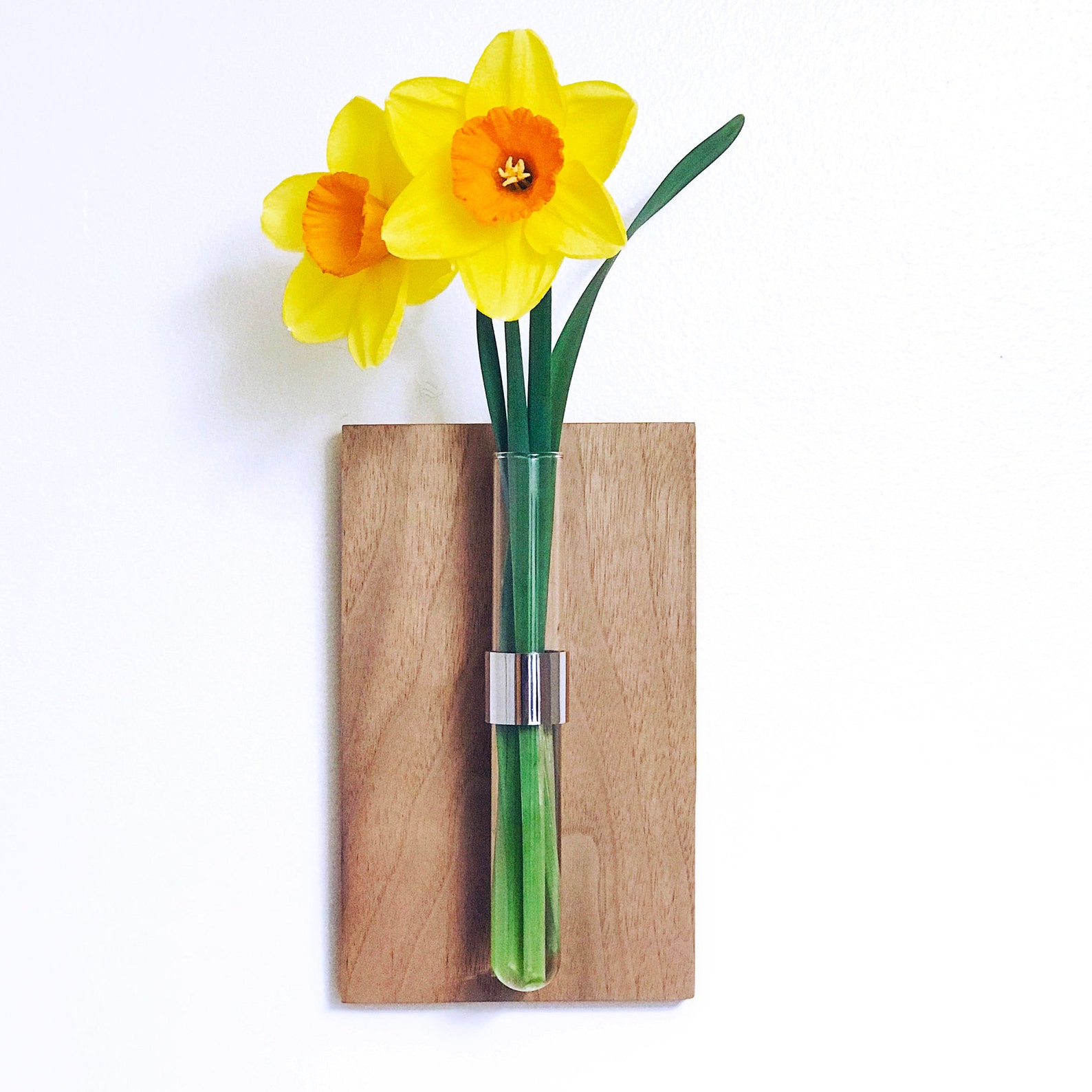 Modern Wall Mount Bud Vase / Glass Vase / Wooden Wall Hanging Etsy