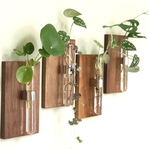 Modern Wall Mount Bud Vase / Glass Vase / Wooden Wall Hanging /Wall Decor / Wall Hanging Flower Vase / Wall Planter / Hanging Planter