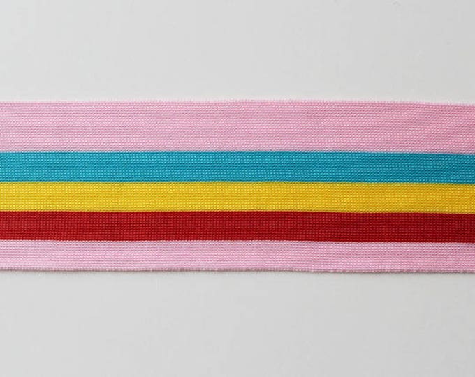 Multiple colorway 2 1/4" rib knit trim(FT10)