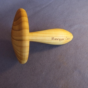 Himalayan Cedar Darning Mushroom