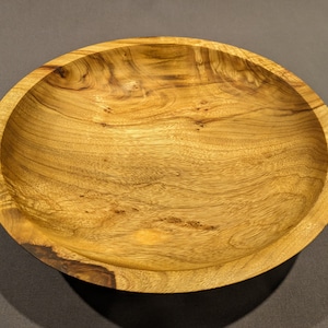Camphor Laurel Fruit Bowl