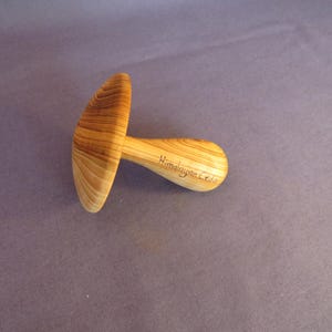 Himalayan Cedar Darning Mushroom