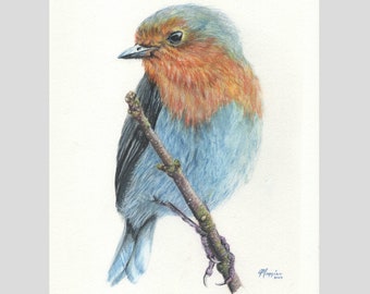 Robin Watercolor, Spring Bird Painting, Original Painting, Wildlife Painting, Watercolor Painting, Wildlife Wall Art, Watercolor Bird Art