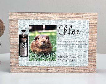 Personalized Guinea Pig Memorial Urn with Photo & Fur Jar. Small guinea pig urn. Cremation urn for ashes. Animal Remains Urn
