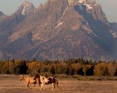 Roaming In The Tetons Signed Numbered Giclee Photo Print