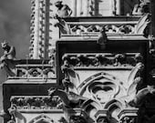 Gargoyles on Watch Giclee Photo Print