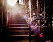 Into the Light Signed Numbered Giclee Photo Print
