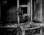 La Vieille Chaise Giclee Photo Print