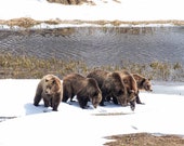 399 and Cubs 5 Signed Numbered Giclee Photo Print