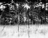 Déjà Vu Giclee Photo Print