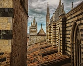 Rooftop Duomo di Siena Signed Numbered Giclee Photo Print