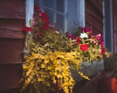 Flower Box Stockholm Wisconsin Signed Numbered Giclee Photo Print