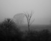 Blizzard On The Prairie, Wisconsin Signed Numbered Giclee Photo Print
