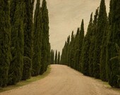 Postcard From Tuscany Signed Numbered Giclee Photo Print