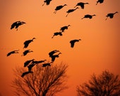 Sandhills at Sunset Signed Numbered Giclee Photo Print