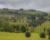 Tuscan Dreams Signed Numbered Giclee Photo Print