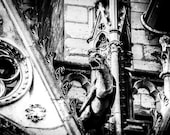 Notre Dame Gargoyle, Paris Signed Numbered Giclee Photo Print