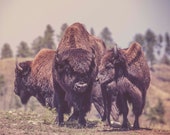 Party Of Three, Custer, South Dakota Signed Numbered Giclee Photo Print