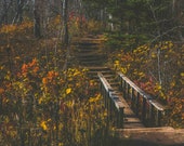 Fall Foilage, Gooseberry Falls Signed Numbered Giclee Photo Print