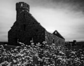 Isle of Man Meadow Signed Numbered Giclee Photo Print