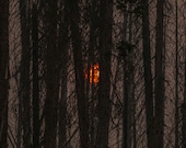 Fire Sun Signed Numbered Giclee Photo Print