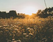 Golden Hour Signed Numbered Giclee Photo Print