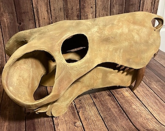 Cráneo de gorgonópsido a escala 1:1, réplica impresa en 3D, cráneo prehistórico pintado a mano