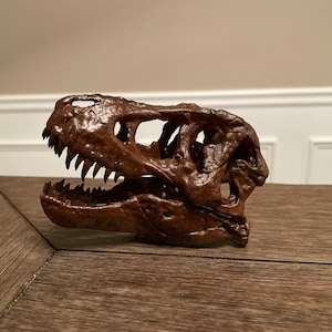 1:10 Scale Hand-Painted Resin T-Rex Skull Replica