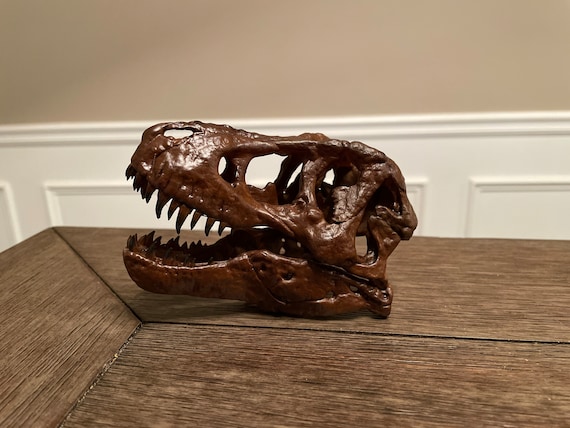 1:10 Scale Hand-Painted Resin T-Rex Skull Replica