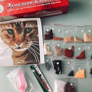 May include: Diamond painting kit with a close-up image of a cat's face. The kit includes a canvas, a tray of diamond-shaped beads, tweezers, and a pen. The beads are sorted into small plastic bags labeled with numbers.