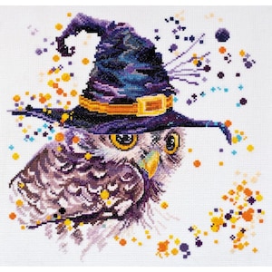 Miracle Cross stitch kit , modern embroidery kit,needlework kit,counted cross stitch, counted cross stitch kit,fairy owl,owl in hat,Sorcery.