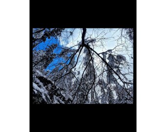 Poster satinato "Foresta invernale" - Stampa artistica da parete con motivo naturalistico