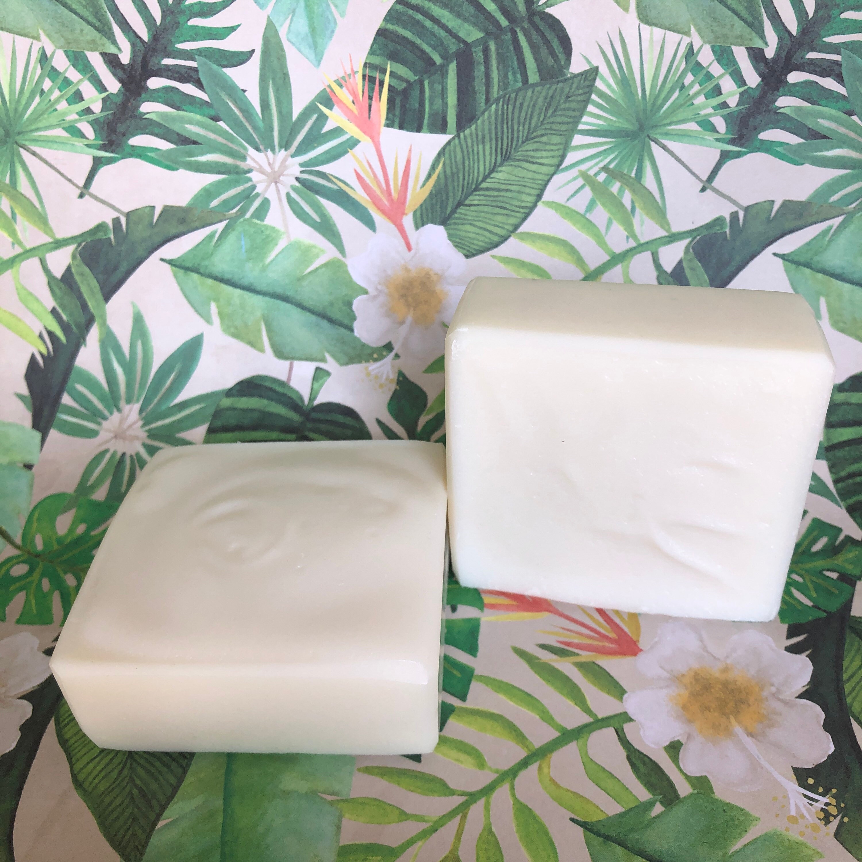 Solid Dish Soap Etsy