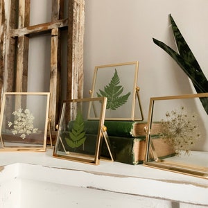 May include: Four small, square, gold-framed glass displays with pressed botanical specimens. The frames stand on a white surface, with a fern, and other dried flowers. The background includes old books and a rustic window frame.
