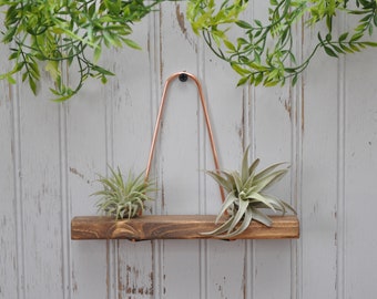 Mini Trapeze Shelf Air Plant Display