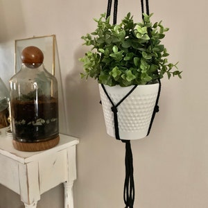May include: A white ceramic planter with a green leafy plant hanging from a black macrame plant hanger.