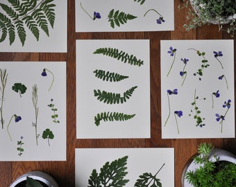 May include: Six white frames with pressed green ferns and purple flowers on a wooden surface. The frames are arranged in a grid pattern.