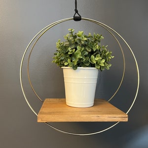 Large Hanging Gold Ring Plant Shelf with black string