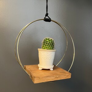 May include: A hanging plant shelf with a gold metal ring and a small wooden shelf. A small cactus in a white pot sits on the shelf. The pot has a decorative pattern. The shelf is suspended by a black cord.