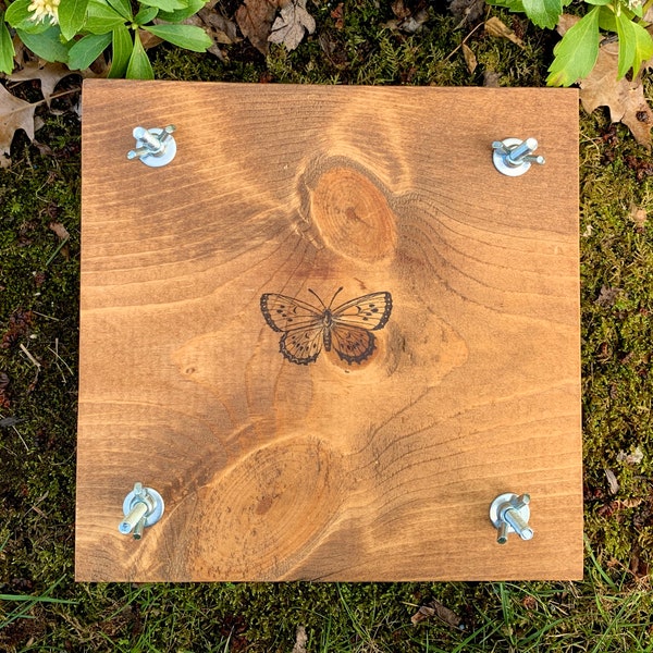 Pressed Flower Kit Etsy