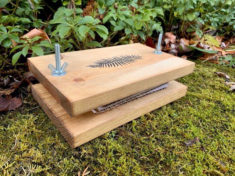 Small Flower Plant Press Kit Rustic Botanical Solid Wood Etsy