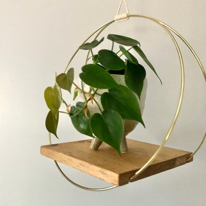 Large Hanging Gold Ring Plant Shelf