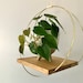 see more listings in the Plant Lovers section