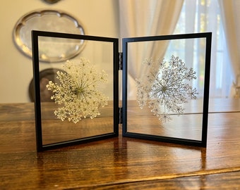 Black Double Frame Pressed Queen Anne’s Lace Flower Herbarium