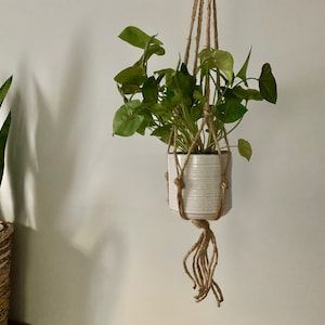 May include: A white ceramic planter with a green plant hanging from a macrame plant hanger made of natural twine.