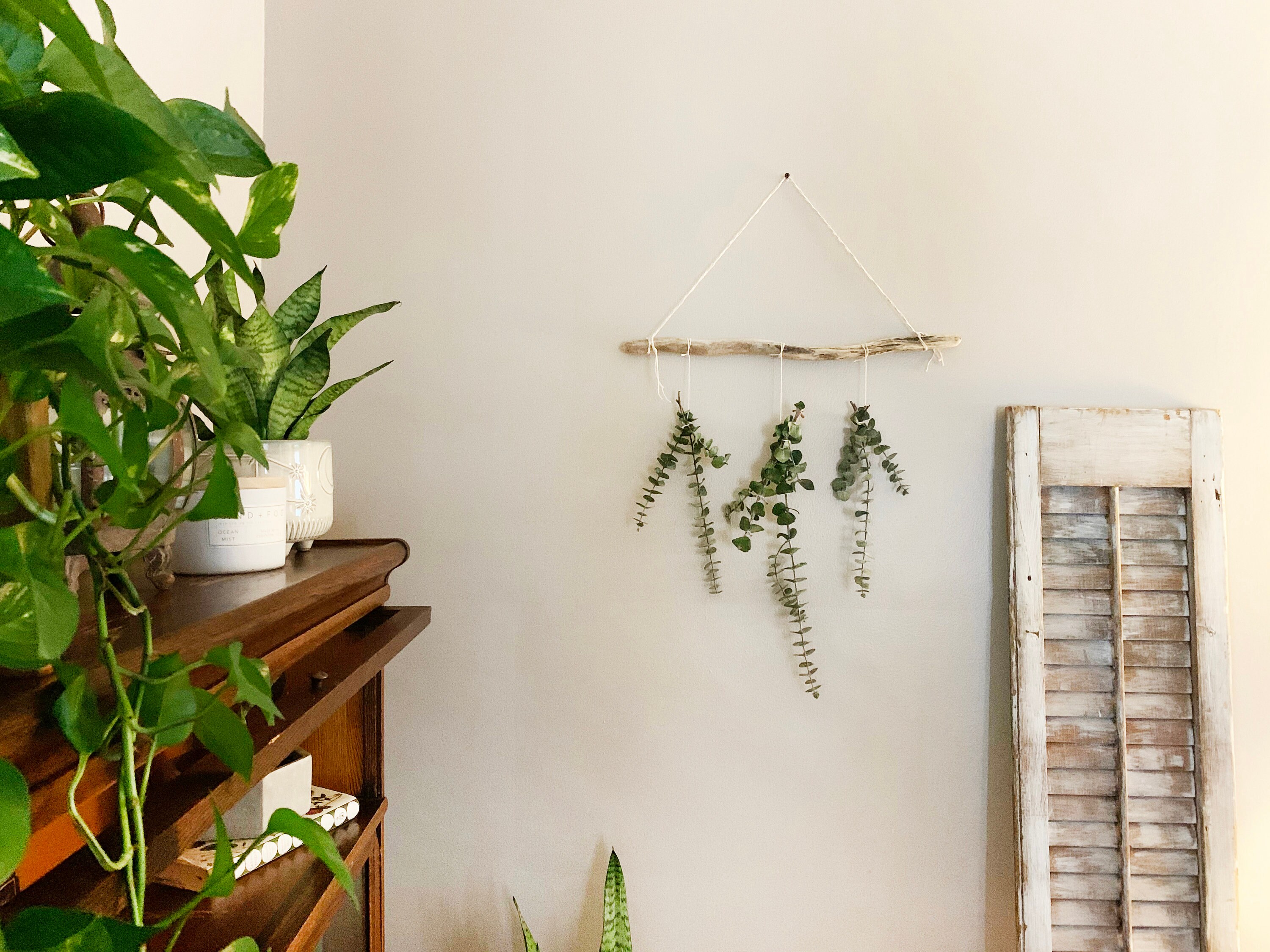 Small Real Dried Eucalyptus Driftwood Wall Hangings - Etsy