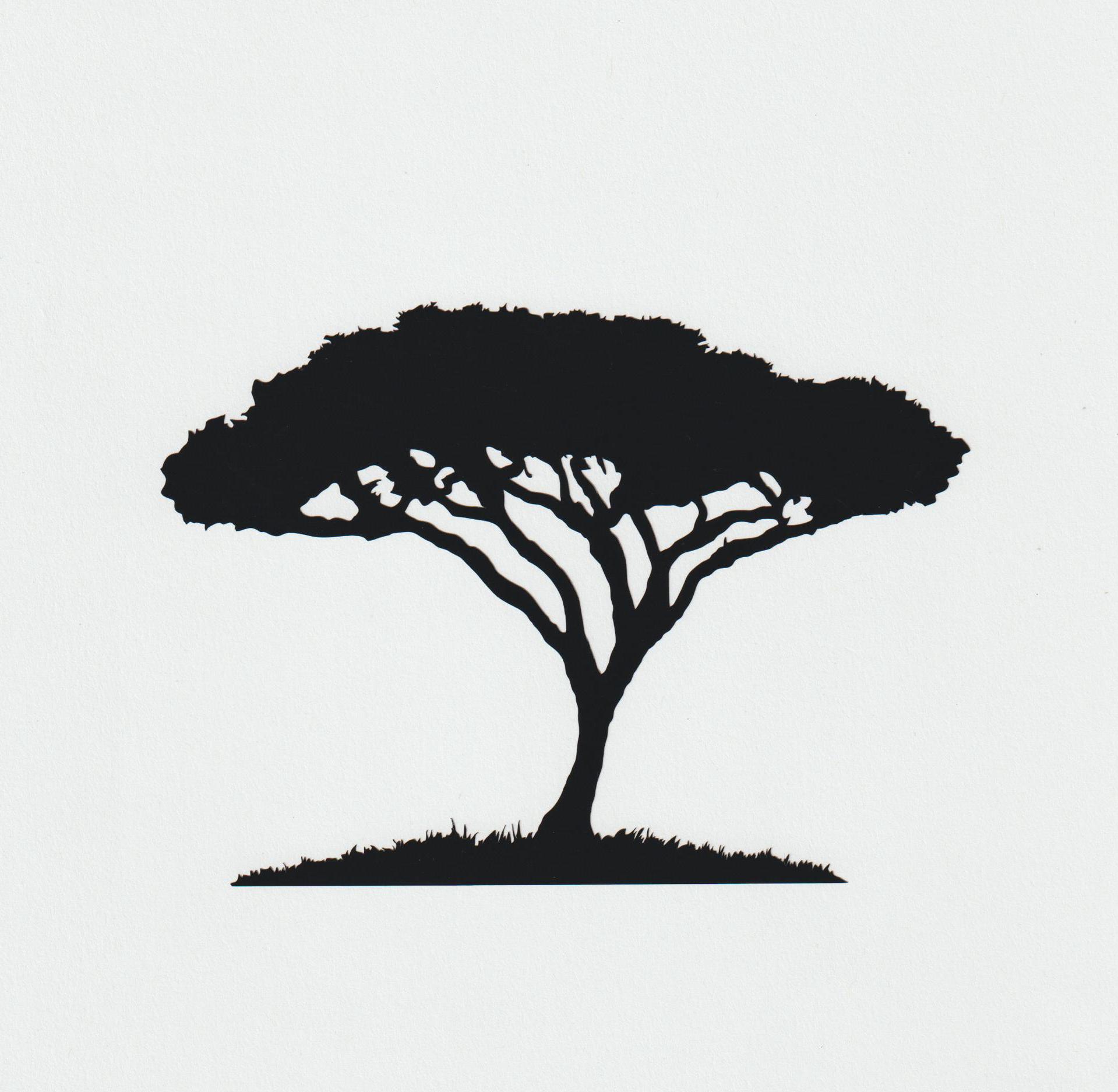 Acacia Tree Vinyl Decal (Permanent Adhesive, Die Cut)