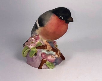 Royal Worcester BullFinch Made In England