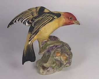 Royal Worcester Western Tanager Made In England